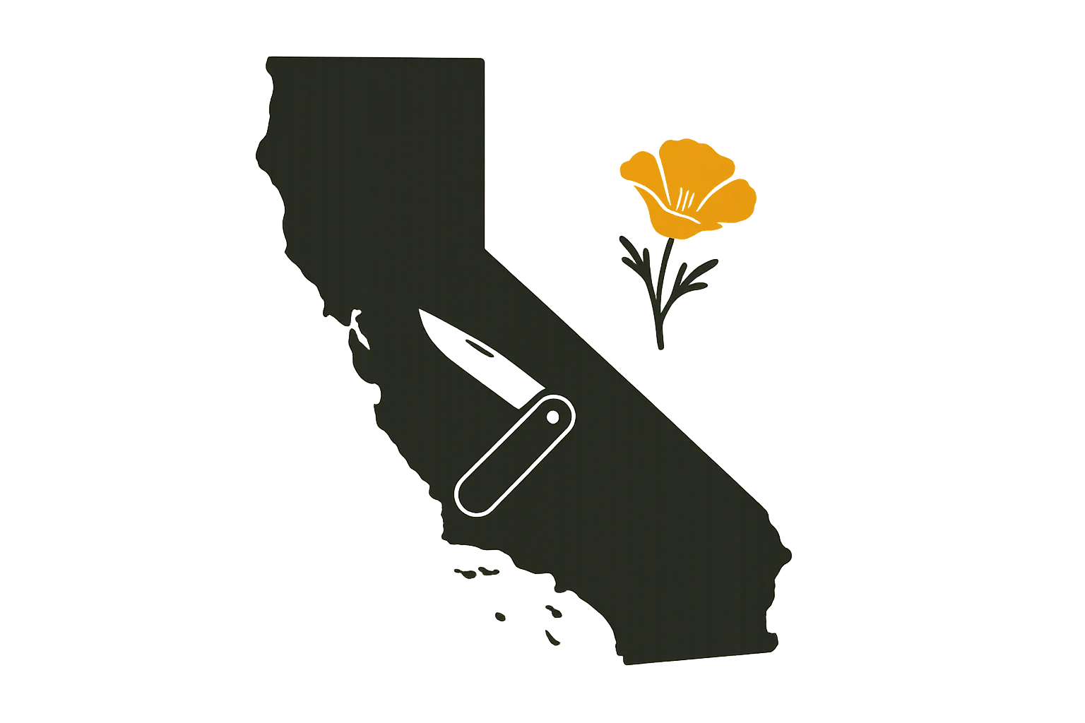 What Size Knife Is Legal to Carry in California?
